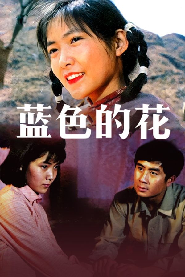 蓝色的花