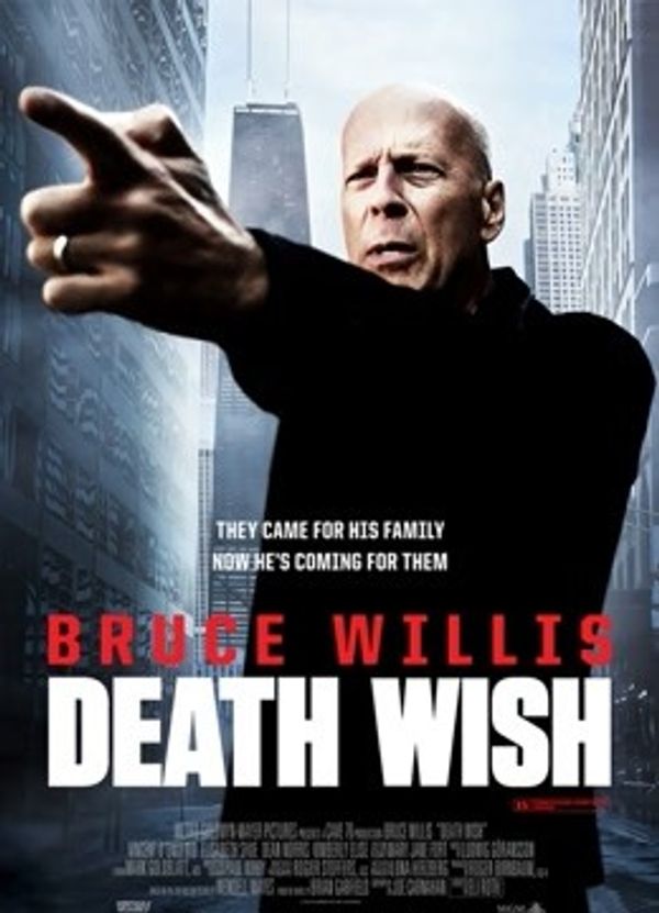 虎胆追凶（普通话）封面图