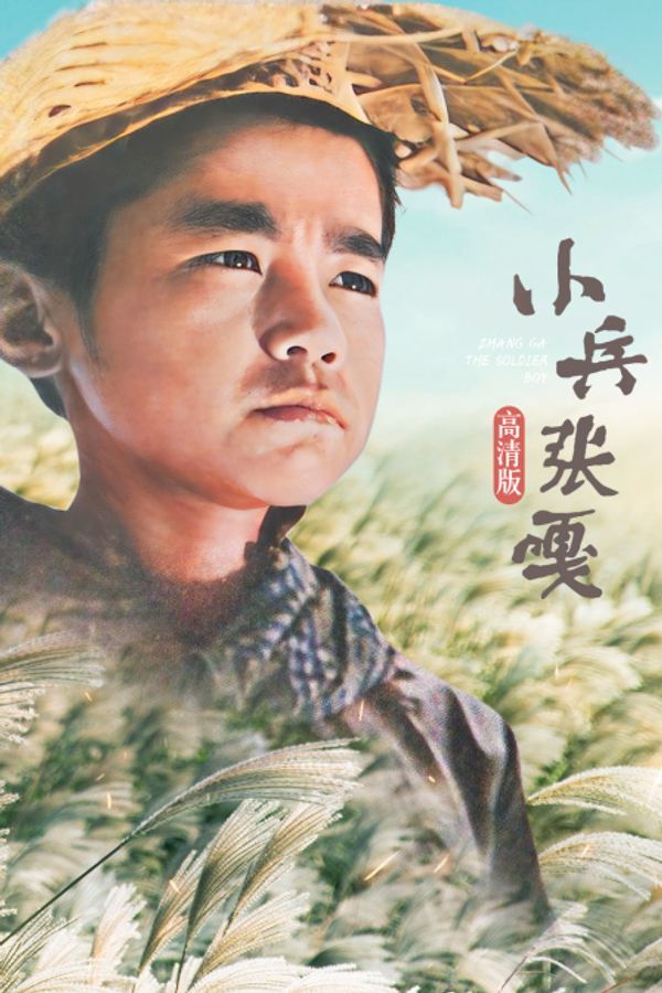 小兵张嘎 高清版