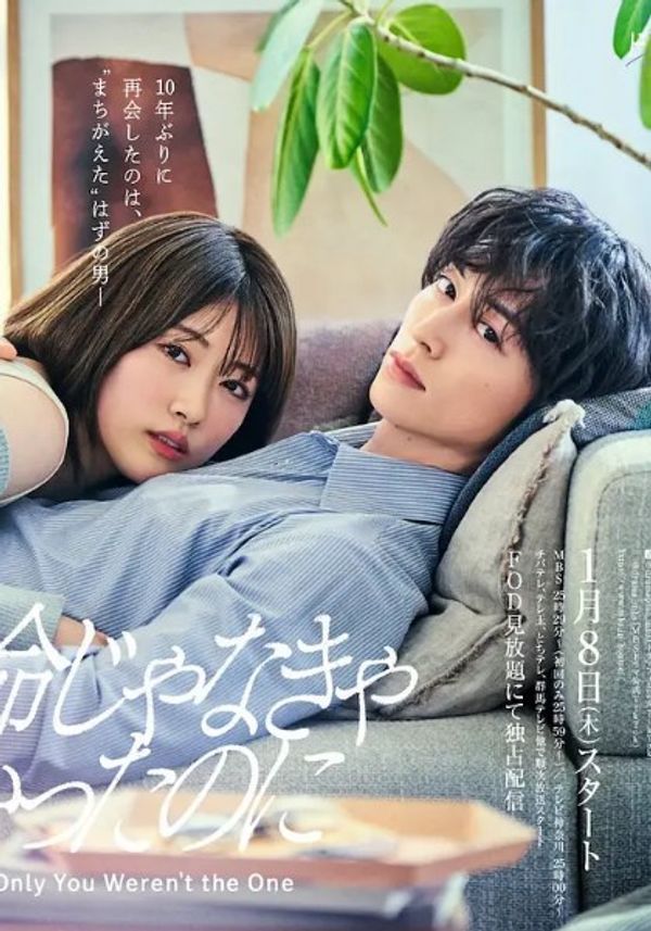 如果不是本命就好了封面图