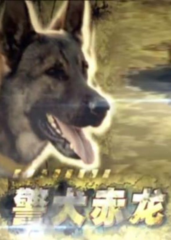 警犬赤龙