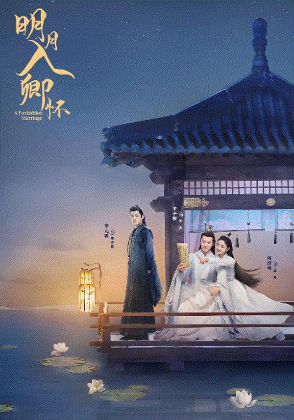 明月入卿怀}