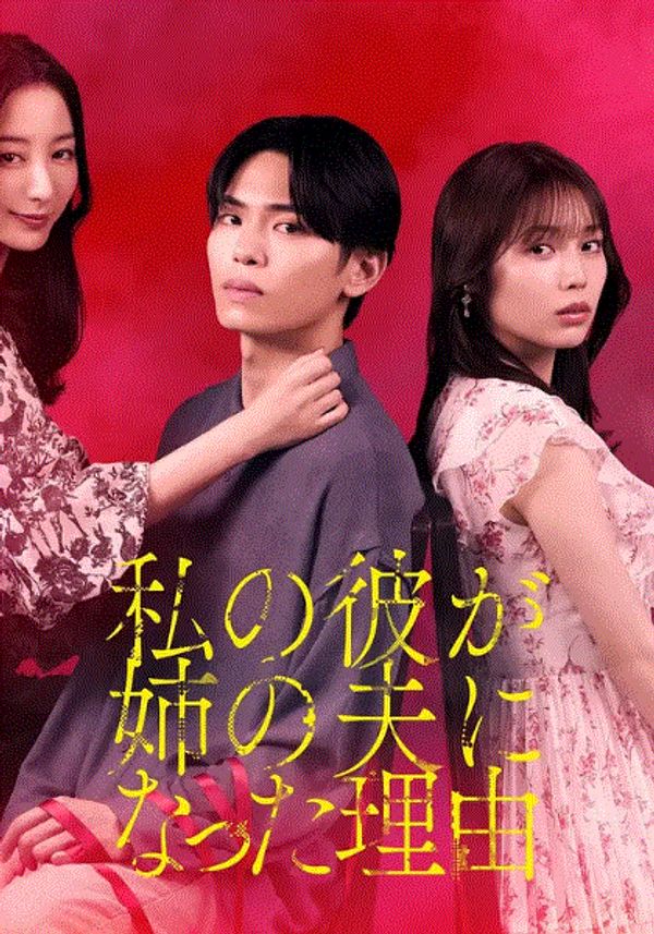 我男友成了姐夫的理由}
