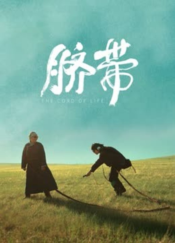 脐带}