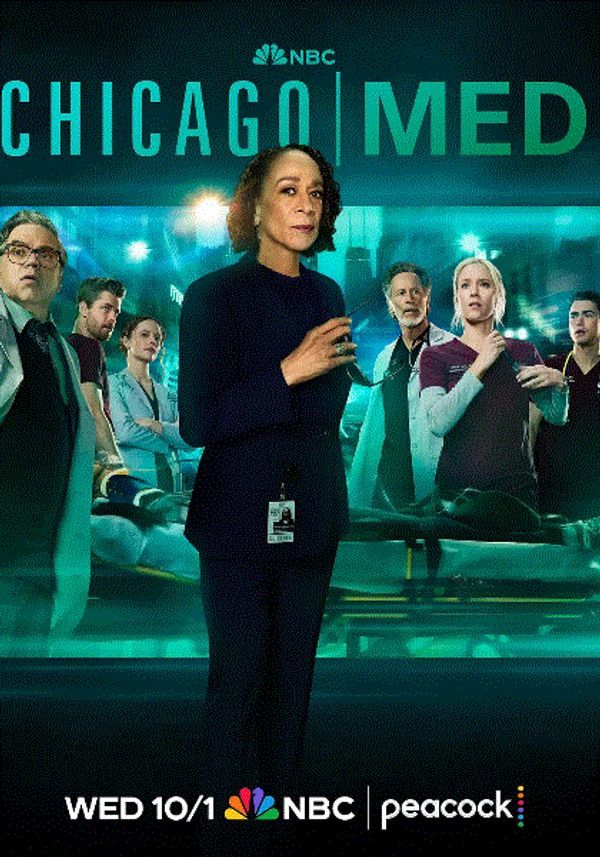 芝加哥医院第11季}