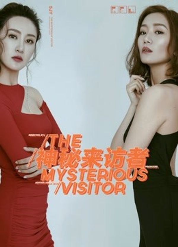 神秘来访者}