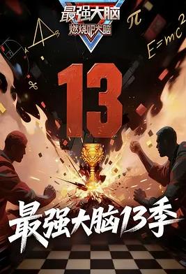 最强大脑第十三季封面图